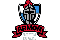 Armor VCI